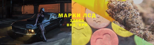 ГАЛЛЮЦИНОГЕННЫЕ ГРИБЫ Володарск