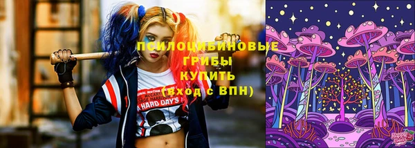 ГАЛЛЮЦИНОГЕННЫЕ ГРИБЫ Володарск